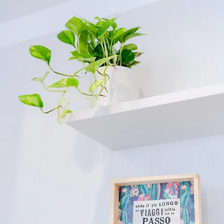 Inloco - Natural Experience Penzion Acqualagna